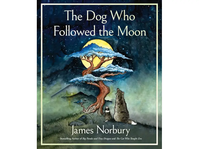 The Dog Who Followed the Moon book cover